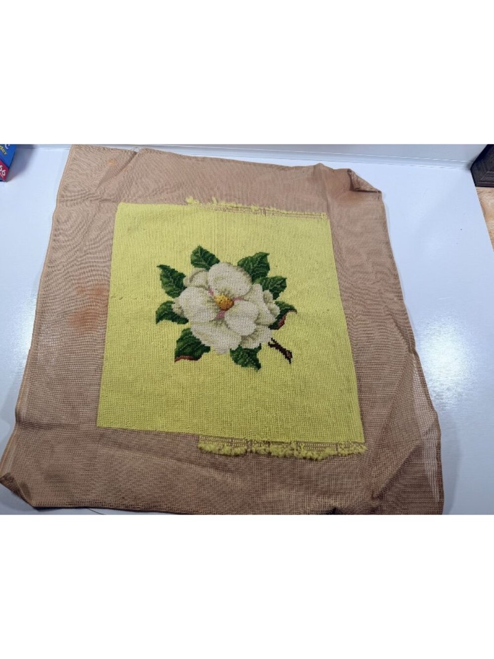 Vintage Needlepoint Magnolia Flower Canvas Lime Green Chair Pad 14x14" finish